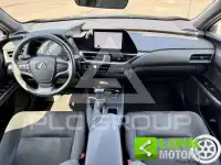 2023 Lexus UX250