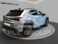 2023 Lexus UX250