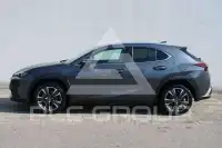 2023 Lexus UX250