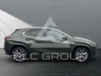 2023 Lexus UX250