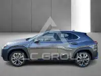2023 Lexus UX250