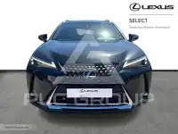 2023 Lexus UX250