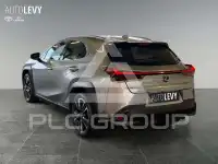 2023 Lexus UX250