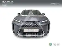2023 Lexus UX250