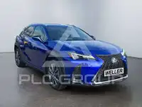 2023 Lexus UX250