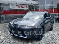 2023 Lexus UX250