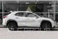 2023 Lexus UX250