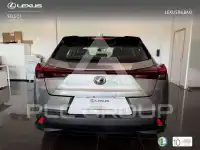 2023 Lexus UX250