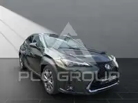 2023 Lexus UX250