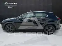 2023 Lexus UX250