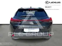 2023 Lexus UX250