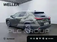 2023 Lexus UX250