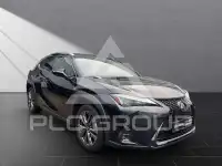 2023 Lexus UX250