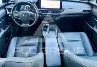 2023 Lexus UX250