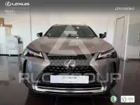 2023 Lexus UX250