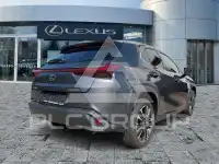 2023 Lexus UX250