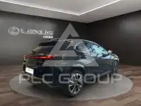 2023 Lexus UX250