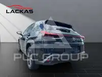 2023 Lexus UX250
