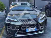 2023 Lexus UX250