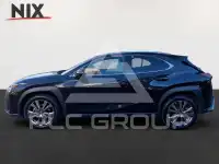 2023 Lexus UX250