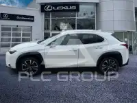 2023 Lexus UX250