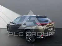 2023 Lexus UX250