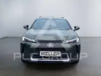 2023 Lexus UX250