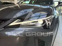 2023 Lexus UX250