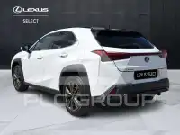 2023 Lexus UX250