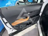 2023 Lexus UX250