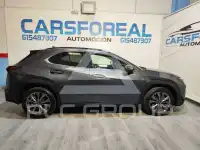 2023 Lexus UX250