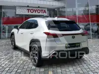 2023 Lexus UX250