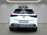 2023 Lexus UX250