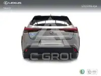 2023 Lexus UX250