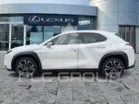 2023 Lexus UX250