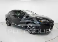 2023 Lexus UX250