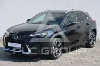 2023 Lexus UX250