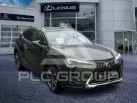 2023 Lexus UX250