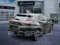 2023 Lexus UX250