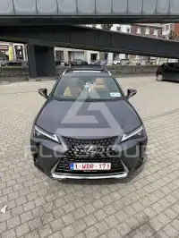 2023 Lexus UX250