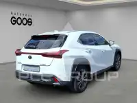 2023 Lexus UX250