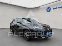 2023 Lexus UX250