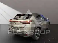 2023 Lexus UX250