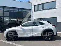 2023 Lexus UX250
