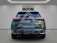 2023 Lexus UX250