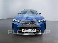 2023 Lexus UX250