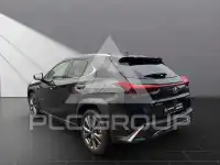 2023 Lexus UX250