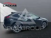 2023 Lexus UX250