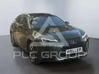 2023 Lexus UX250