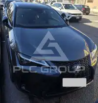 2023 Lexus UX250